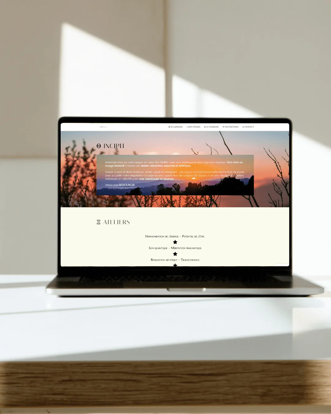 Site réalisé — Projet Origine